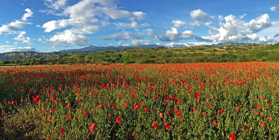 bulgarien immobilien